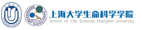 raybet雷竞技在线官网
